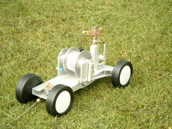 Regenkönig ohne Haube3